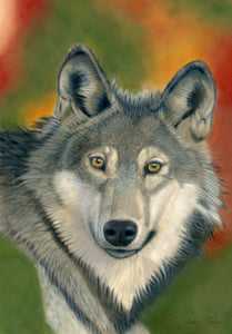 "Canis Lupus" - Grey Wolf. Giclée fine art print edition