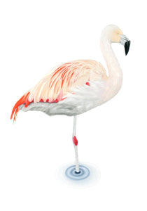 "Lola" Flamingo. Giclée fine art print edition