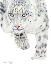Load image into Gallery viewer, &quot;The Huntress&quot; - Snow Leopard. Giclée fine art print edition
