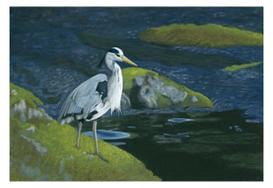 "Tranquillity" Heron. Giclée fine art print edition
